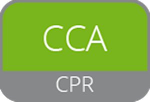 CSB224-CCA/1