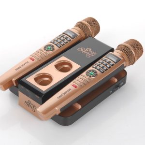 E5 Dual Karaokesysteem