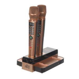 E5 Dual Karaokesysteem